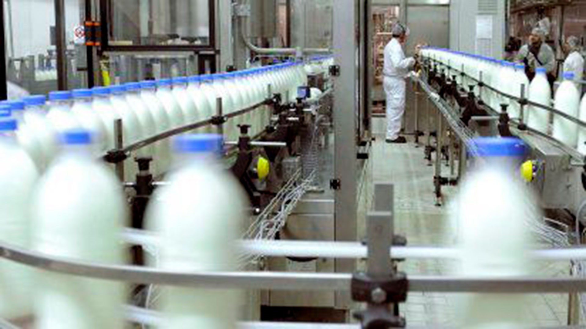 Las exportaciones de lácteos aumentaron más de un 20% y registraron el mayor ingreso de dólares desde el 2014 Las exportaciones de lácteos aumentaron más de un 20% y registraron el mayor ingreso de dólares desde el 2014
