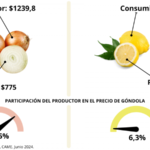 Del campo a la góndola, los precios de los agroalimentos se multiplicaron por 3,3 veces en junio.